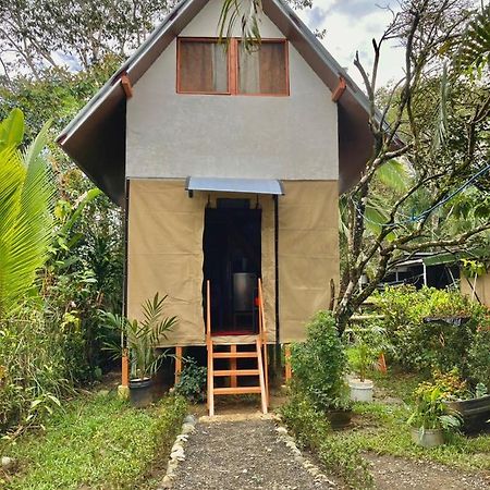 Cabana Equipada Puerto Jiménez 外观 照片
